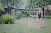 In The Garden 1971
