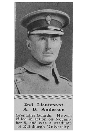 Anderson A D 2nd Lt 1st Grenadier Guards The Sphere 25th Jan 1919