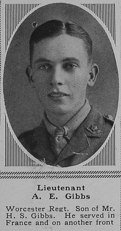Gibbs A E Lt 11th Worcs Regt The Sphere 7th July 1917