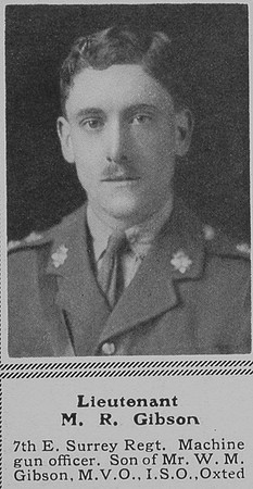 Gibson M R Lt 7th East Surrey Regt The Sphere 8th Jan 1916