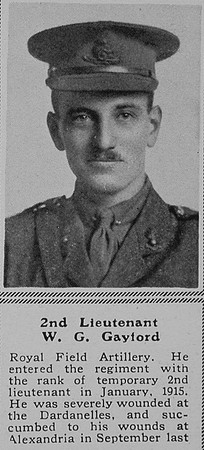 Gayford W G 2nd Lt RFA The Sphere 13th Nov 1915