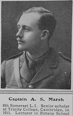 Marsh A S Captain 8th Somerset LI The Sphere 4th Mar 1916
