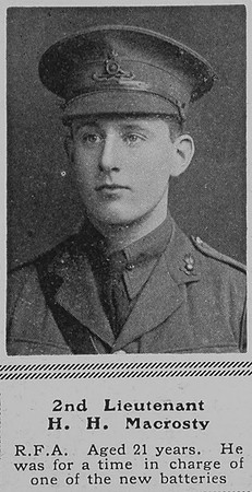 Macrosty H H 2nd Lt RFA The Sphere 22nd Jan 1916