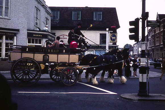Shire Horses And Dray Epsom 1960s