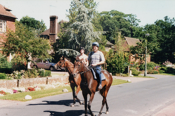 Race Horses In Ashtead Park 1980s