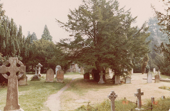 St Giles Churchyard Ashtead 1999