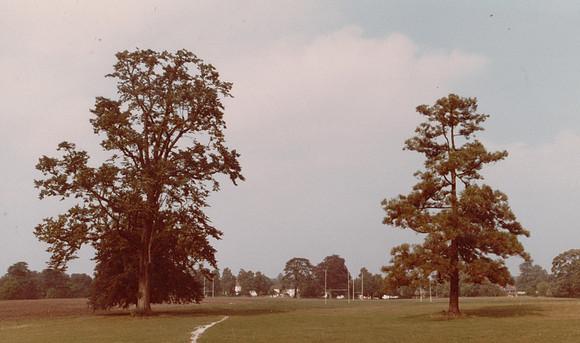 City of London Freemen's School Playing Field 1982
