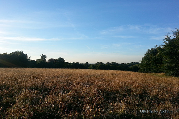 Oaks Park Carshalton