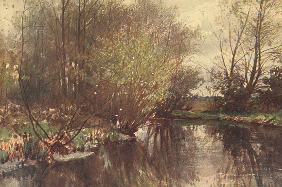 The Mill Stream Ockham 1906