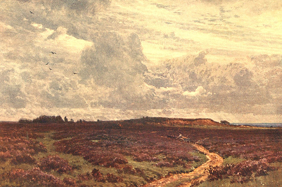 The Sandy Road Milford Heath Surrey 1906