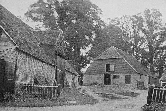 Wipley Farmyard Normandy Surrey 1908