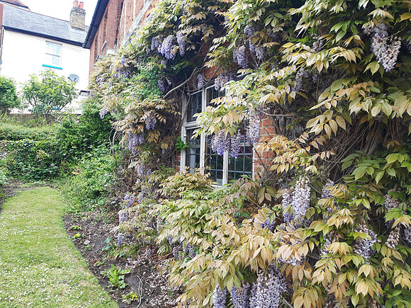 Sweech House Gravel Hill Leatherhead