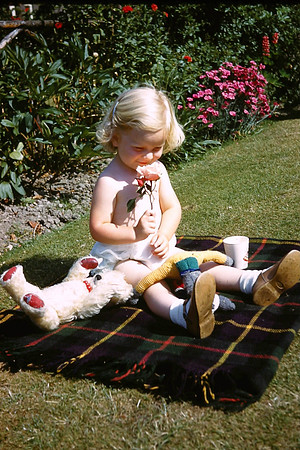In The Garden 91 Nab Wood Drive Shipley Yorkshire 1960