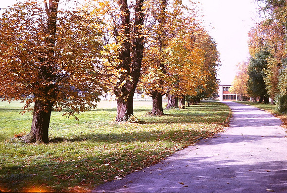 Evington Hall Spencefield Lane Leicester Convent 1963