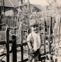 A Little Boy In His Back Garden