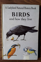 Ladybird Series 651 – Natural History