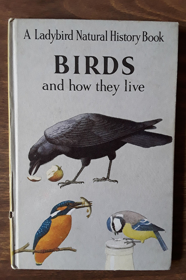 Birds And How They Live