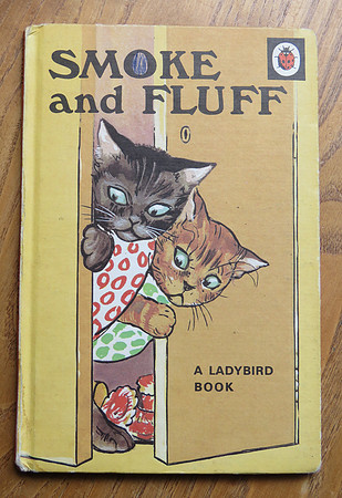 Ladybird Book Smoke And Fluff