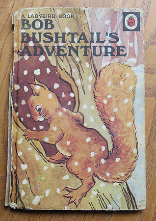 Ladybird Book Bob Bushtail's Adventure