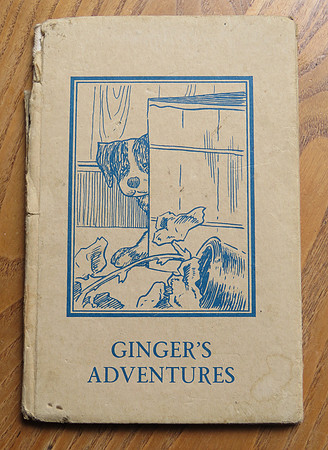 Ladybird Book Ginger's Adventures