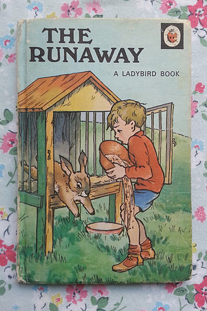 Ladybird Book The Runaway