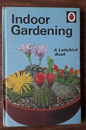 Indoor Gardening