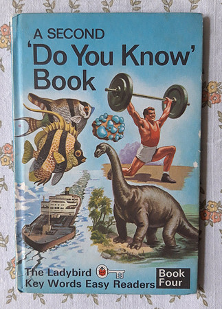 Teaching Reading Book 4 - A Second 'Do You Know' Book