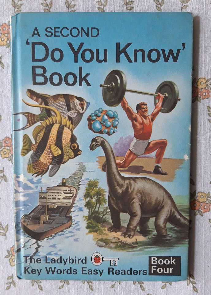 Teaching Reading Book 4 - A Second 'Do You Know' Book