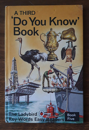 Teaching Reading Book 5 - A Third 'Do You Know' Book