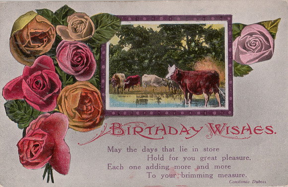 Birthday Postcard Mrs R Pearce Front