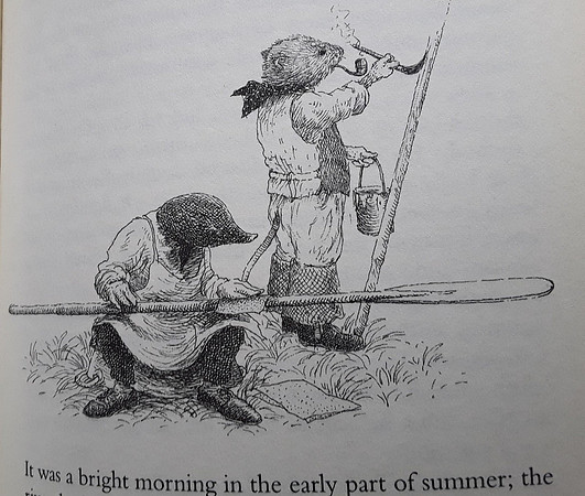 Harper Collins The Wind In The Willows 1994 Edition