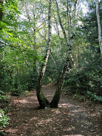 Ottershaw 6th September 2018