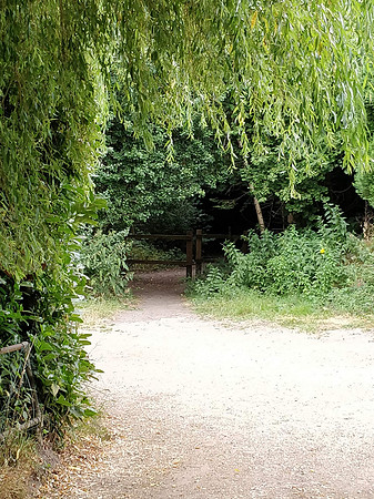 Ottershaw 12th July 2018