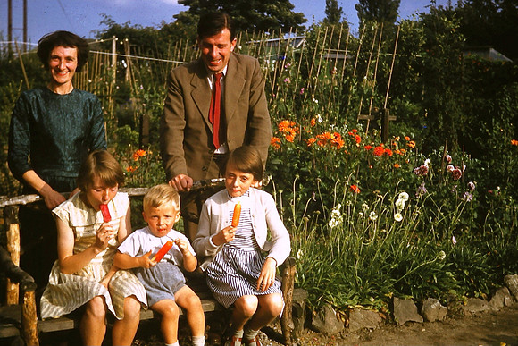 In The Garden 1950s