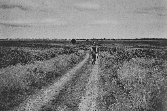 Peddars Way At Bridgham Heath Norfolk 1930s