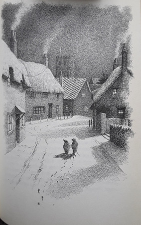 Harper Collins The Wind In The Willows 1994 Edition