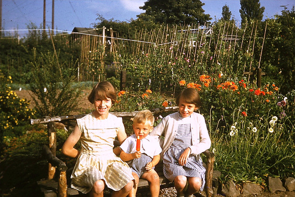 Children In The Back Garden 1950s