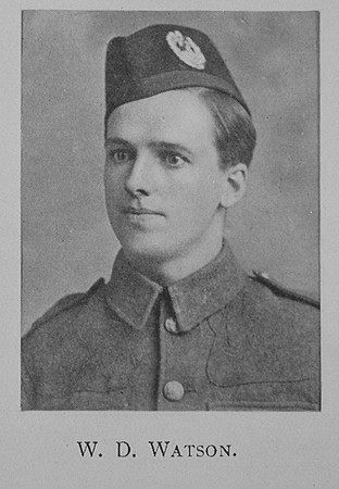 Watson W D LSergt 5th Cameron Highlanders