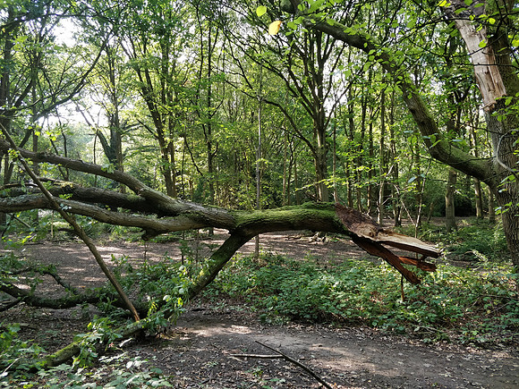 Ottershaw 31st August 2018