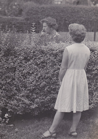 Two Women Chatting Over The Garden Hedge