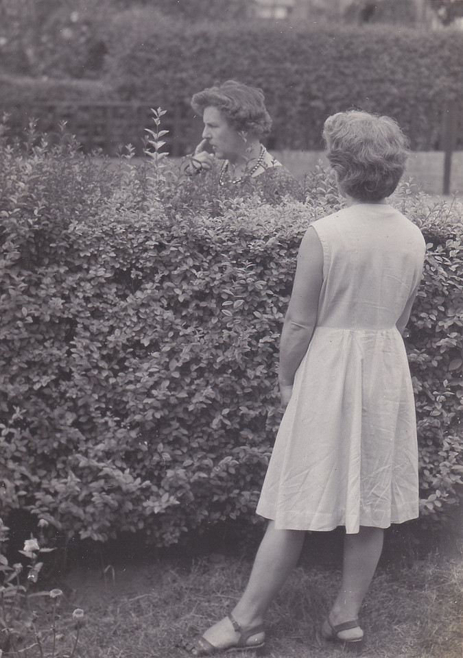 Two Women Chatting Over The Garden Hedge