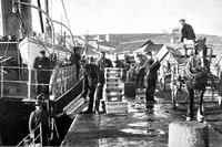 Loading The Steamer With Flowers For Market The Pier St Marys Scilly Isles 1907