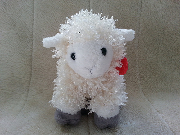 Keel Toys Cuddly Lamb Sheep With Plastic Tag
