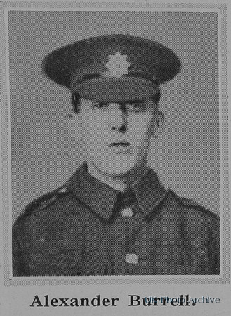 Burrell A Pte 13676 1st Coldstream Guards