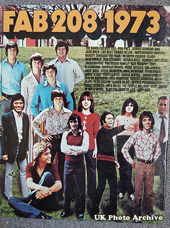 FAB 208 Annual 1973 Cover