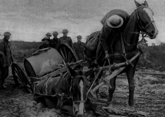 An Army Service Corps Horse Succumbs To The Mud In Flanders 1917