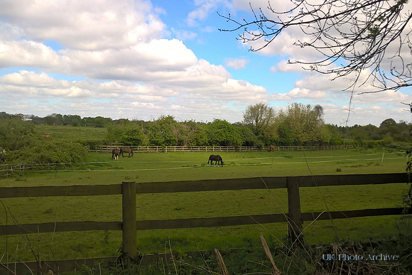 View Across Fairlawn Farm Carshalton
