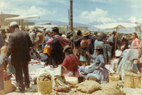 South America