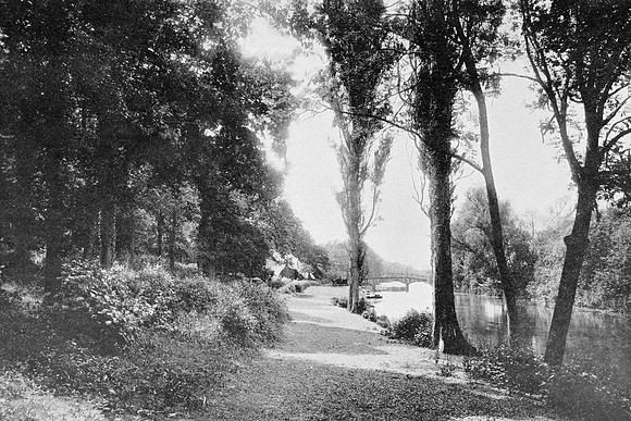 Nuneham In The Woods 1890s