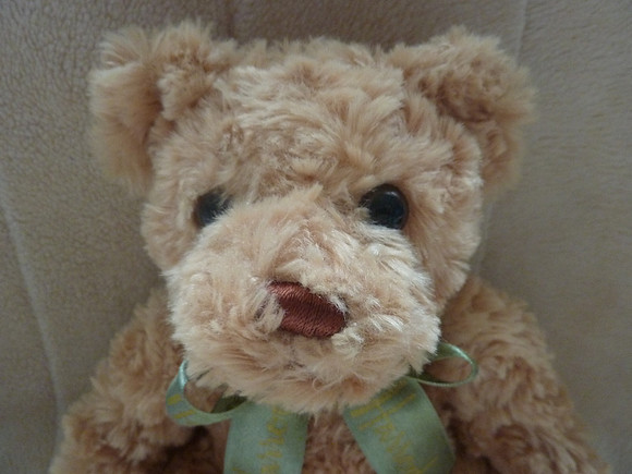 Cuddly Plush Harrods Collectable Teddy Bear 10" With Ribbon